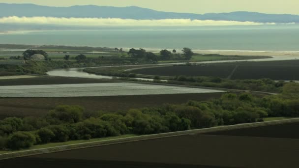 Cultivos agrícolas Bahía agrícola — Vídeo de stock