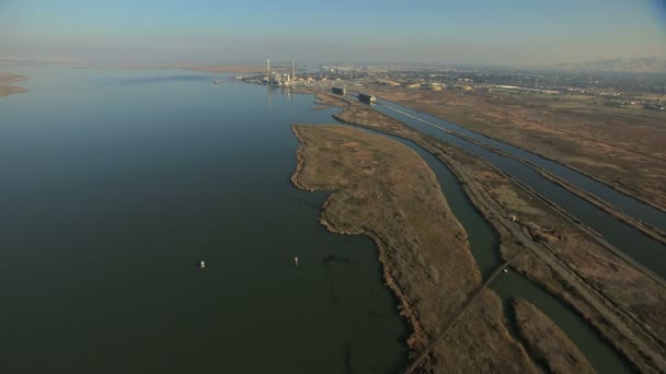 San Francisco Bay wildlife kust delta — Stockvideo