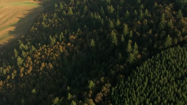 俄勒冈州作物领域农业景观 — 图库视频影像