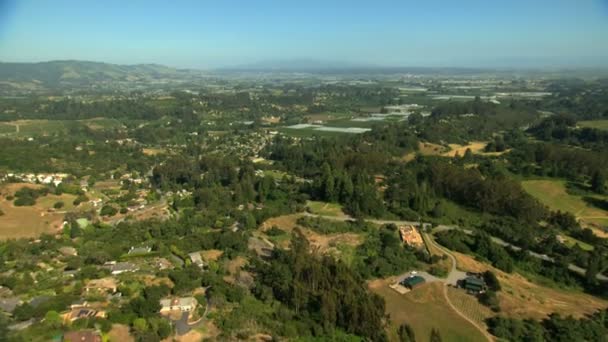 Campos agrícolas cultivos agrícolas — Vídeo de stock