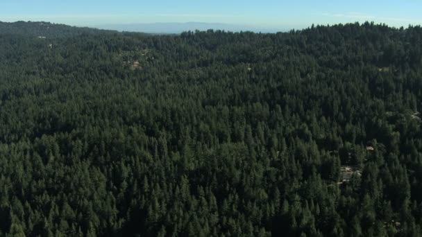 Aire California EE.UU. tierras agrícolas bosque naturaleza luz del día — Vídeos de Stock