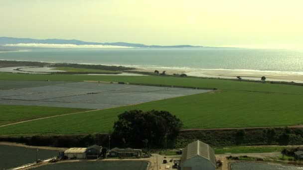 Cultivos agrícolas Bahía agrícola — Vídeos de Stock