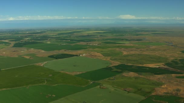 Idaho Landwirtschaft Bauernhaus Ernte Grünland — Stockvideo