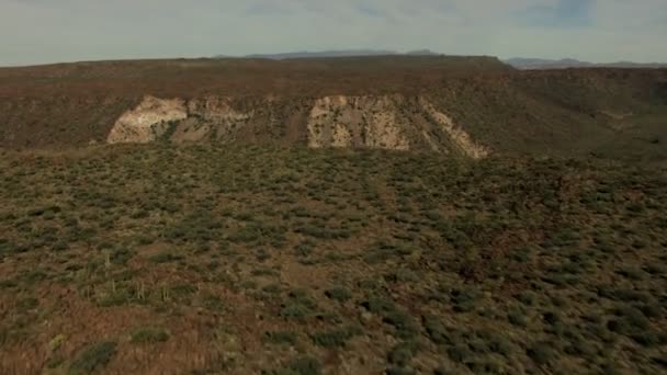 Pustyni Baja California Sur Meksyk Plateau — Wideo stockowe