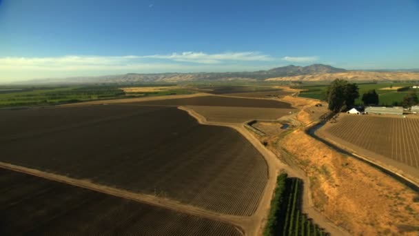 Fields of farming crops — Stock Video