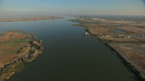 Californië Usa San Francisco Bay moerasgebied wildlife — Stockvideo