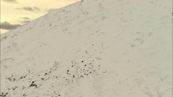 Alaskan landschap met besneeuwde Peak — Stockvideo
