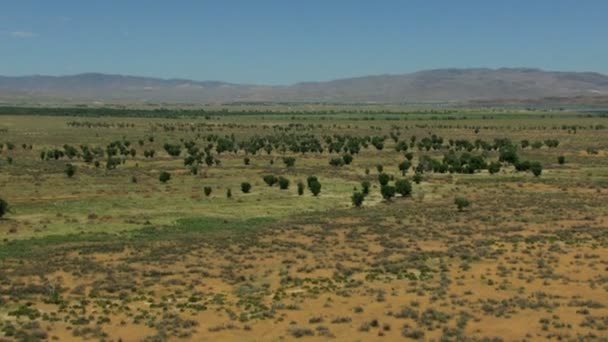 Rangeland a környező tájra növényzet — Stock videók