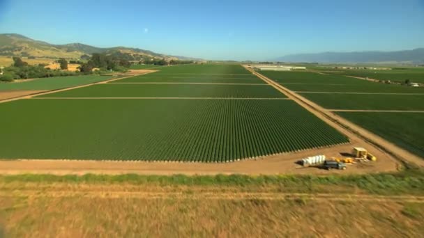 Landwirtschaftliche Felder, die Nutzpflanzen anbauen — Stockvideo