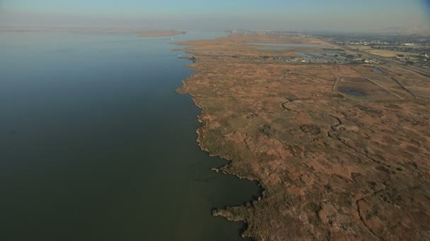 San Francisco Bay bataklık yaban hayatı Nehri Deltası — Stok video