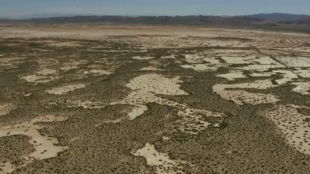 Medio ambiente salvaje llanuras de tierra Rancho — Vídeos de Stock