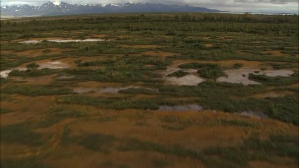 Болотная тундра Национального парка Аляски — стоковое видео