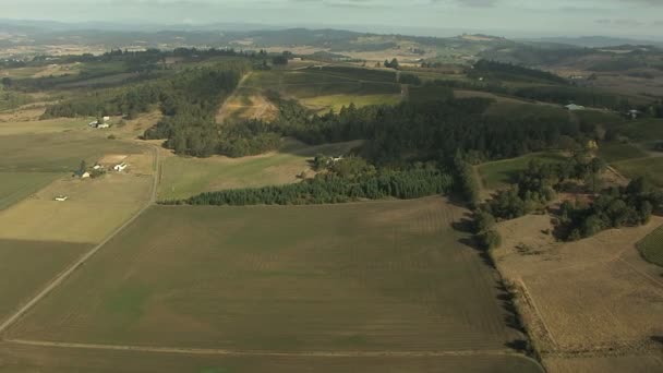 Oregon grödor fält jordbrukslandskapet — Stockvideo