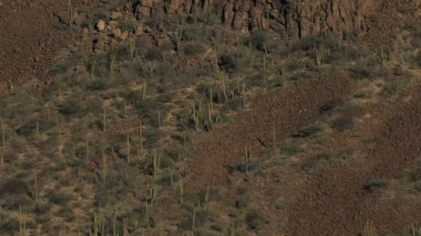 バハ ・ カリフォルニア不毛の乾燥した砂漠の自然 — ストック動画