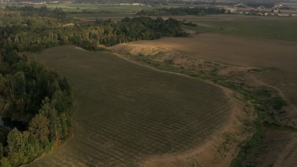 Oregon agricultural field arable farmland — Stock Video