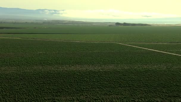 Culturas agrícolas agrícolas e oceânicas — Vídeo de Stock