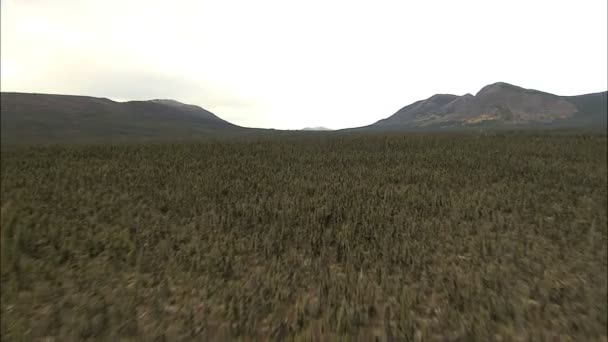 공중 알래스카 국립 공원 풍경 — 비디오