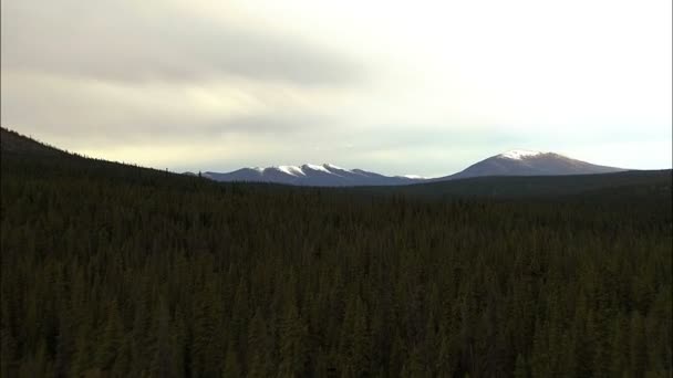 Antenne alaskan nationalpark landschaft — Stockvideo