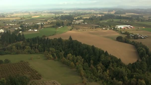 オレゴン州作物フィールド農業景観 — ストック動画