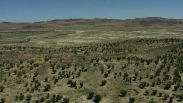 Medio ambiente salvaje llanuras de tierra Rancho — Vídeo de stock