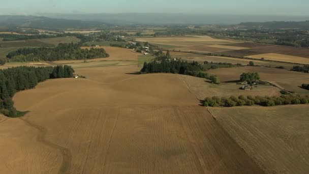 Culturas de Oregon campo paisagem agrícola — Vídeo de Stock