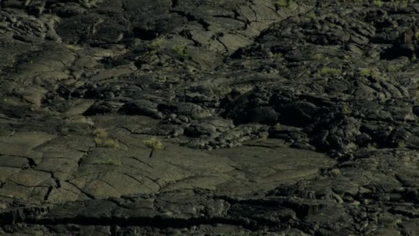 공중 아이다호 미국 사막 자연 조 경 광 야 — 비디오