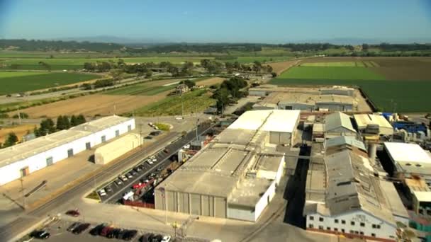 Campos agrícolas cultivos agrícolas — Vídeo de stock