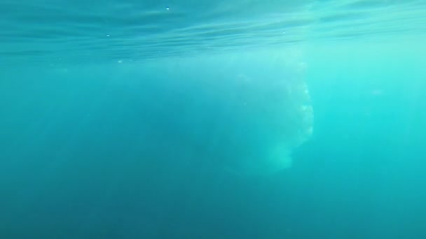 Tauende polare Eiskappe unter der Wasseroberfläche — Stockvideo