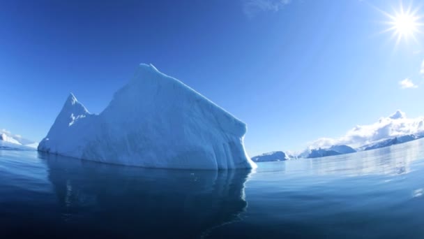 Γροιλανδία ΔΙΣΚΟ κόλπο παγετώδους πάγου — Αρχείο Βίντεο