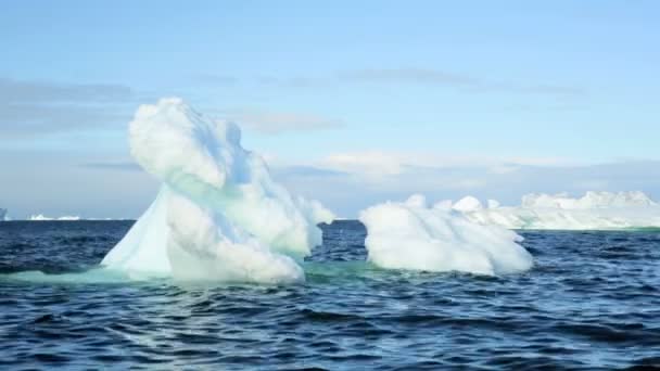 Bahía de disko de Ilulissat costeras icebergs fusión — Vídeo de stock