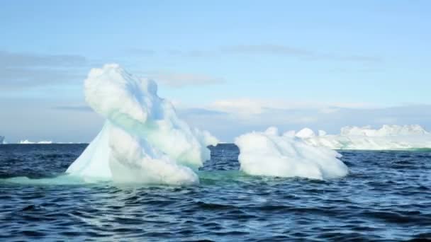 Ilulissat disko bay kustnära smältande isberg — Stockvideo