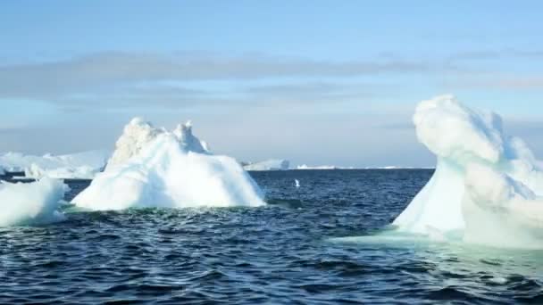 Ilulissat disko bay kustnära smältande isberg — Stockvideo