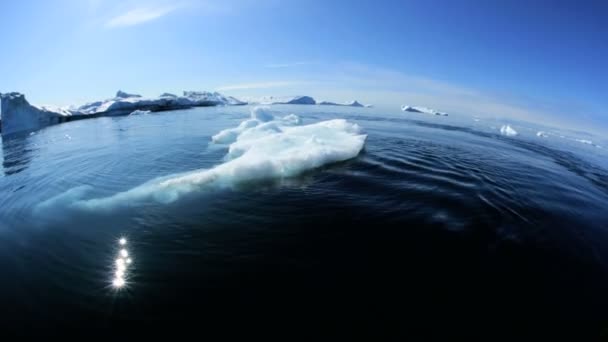 Ilulissat disko bay kustnära smältande isberg — Stockvideo