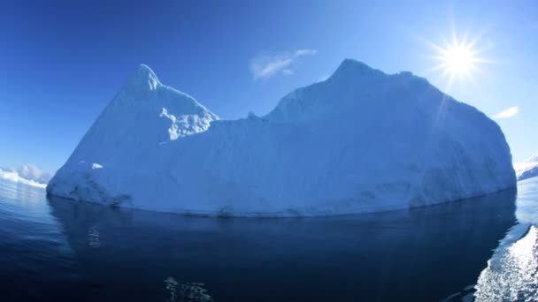 Disko bay Grönland glaciala isberg — Stockvideo