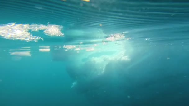 Tauende polare Eiskappe unter der Wasseroberfläche — Stockvideo