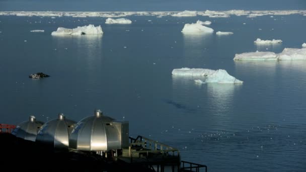 Harbor Grönland ilulissat och drivande isflak — Stockvideo