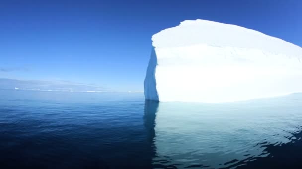 Grönland disko defne buzul — Stok video