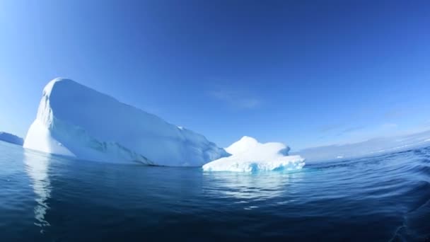 Disko bay Grönland glaciala isberg — Stockvideo