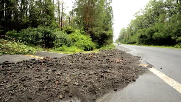 La devastación de la isla después del huracán Iselle — Vídeos de Stock