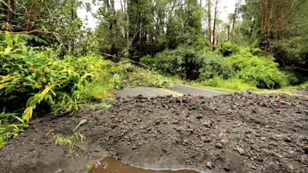 Dévastation de l'île suite à l'ouragan Iselle — Video