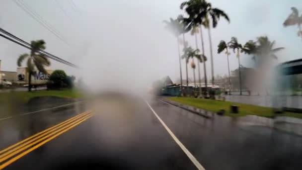 Coastal drive Ciclón tropical Hilo — Vídeo de stock