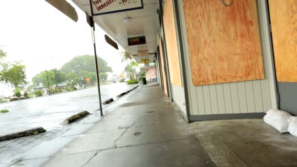 Hawaiiaanse winkels kantoren gebouwen aan boord — Stockvideo