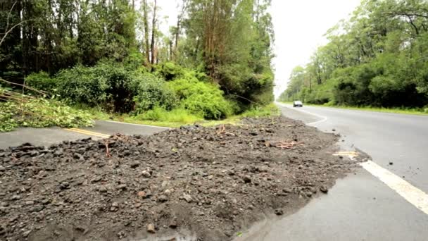 Острів руйнувань наслідками урагану iselle — стокове відео