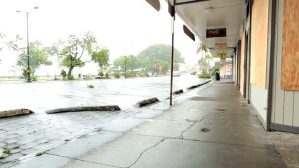 Hilo downtown building flood prevention — Stock Video