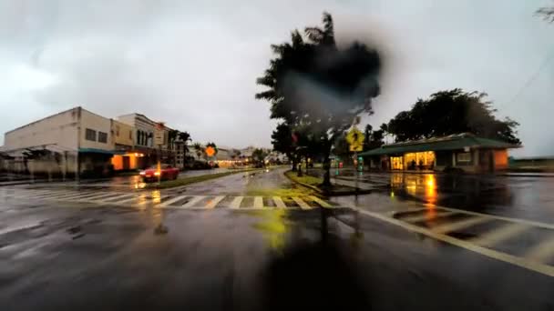 Treibender tropischer Regensturm in der Stadt Hilo — Stockvideo