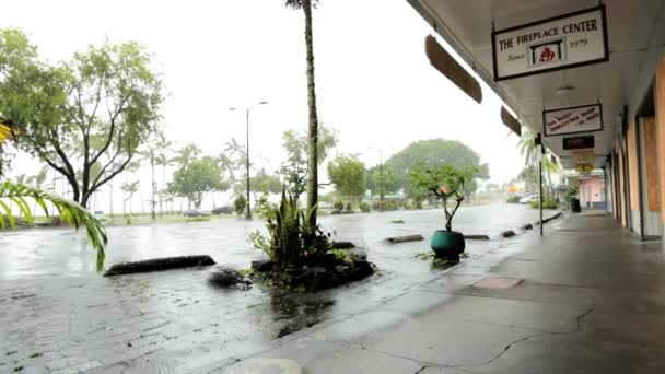 Hilo şehir merkezi bina sel önleme — Stok video