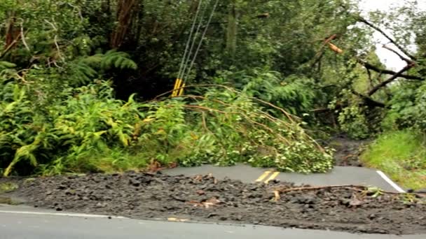 Damage aftermath flash flooding Hilo area — Stock Video