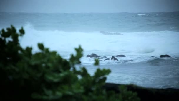 Tropical Hurricane Iselle Hawaiian Islands — Stock Video