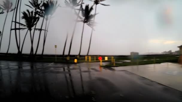 Condução durante tempestade tropical no Havaí — Vídeo de Stock