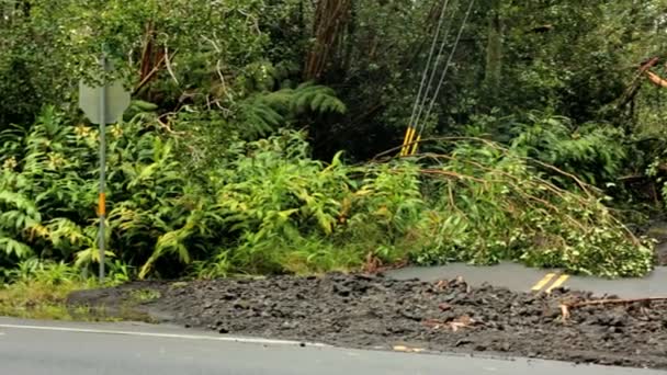 Damage aftermath flash flooding Hilo area — Stock Video